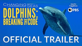 Dolphins Breaking the Code  Trailer