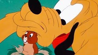 Pluto and the Gopher  A Classic Mickey Short  Have A Laugh