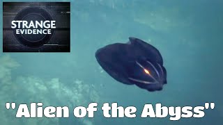 Alien in the Abyss   Deep Sea Droid  Strange Evidence  The Science Channel