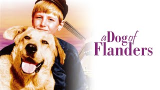 A Dog of Flanders 1960 Full Movie  David Ladd Donald Crisp Theodore Bikel