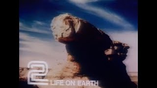 Tuesday 3rd April 1979 BBC2  Life On Earth  David Attenborough  Play Of The Week  Call My Bluff