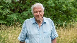 A Message From Sir David Attenborough  A Perfect Planet  BBC Earth
