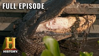 Swamp People Ruthless Oversized Beasts Fill the Swamp S10 E13  Full Episode  History