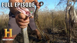 Giant Anacondas Overrun the Everglades  Swamp People Serpent Invasion  Full Episode  History