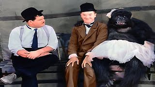 Laurel and Hardy The Chimp  Best Scenes  Behind the Camera pics Colorized funniest moments