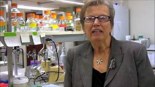 Dr Sandy Gendler creating a nearly universal cancer vaccine