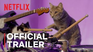 Cat People  Official Trailer  Netflix