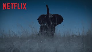 Night on Earth  Trailer  Netflix