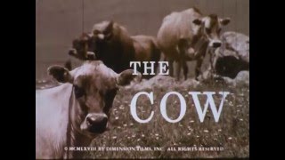 The Cow 1968