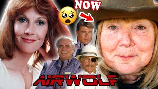 AIRWOLF  THEN AND NOW 2021