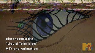 Liquid Television MTV and Animation