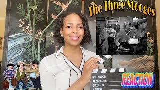 The Three Stooges A Plumbing We Will Go 1940  Reaction