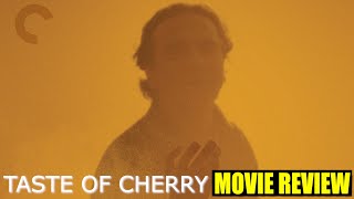 Taste of Cherry 1997  Movie Review  Abbas Kiarostami
