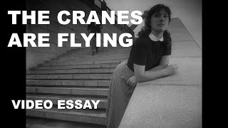 Stylistic Patterns The Cranes are Flying    Mikhail Kalatozov  Video Essay
