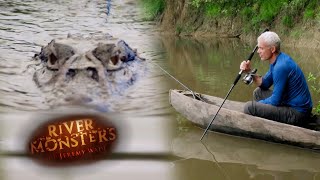 Caiman Sneaks Up On Jeremy Wade  SPECIAL EPISODE  River Monsters