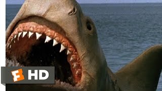 Jaws The Revenge 88 Movie CLIP  Killing the Beast 1987 HD