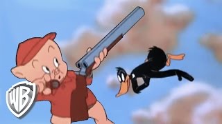 Looney Tunes  Daffy Duck Hunt