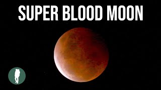 Super Blood Moon  Lunar Eclipse  Time Lapse in 4K 