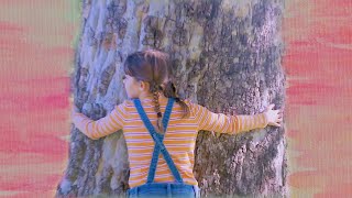 Tree Hugger 2020  A Short Film