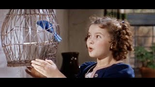The Blue Bird 1940  Shirley Temple Full Length Movie  Virtual Doll Convention