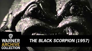 Preview Clip  The Black Scorpion  Warner Archive