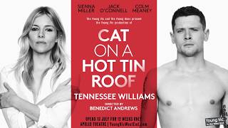 Cat on a Hot Tin Roof  Teaser