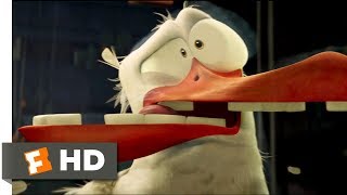 Storks 2016  Birds Cant See Glass Scene 710  Movieclips