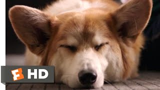 A Dogs Purpose 2017  My Best Life Scene 710  Movieclips