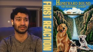 Watching Homeward Bound The Incredible Journey 1993 FOR THE FIRST TIME  Movie Reaction