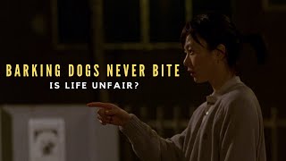 Understanding Barking Dogs Never Bite 2000  Is Life Unfair