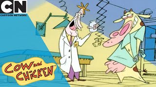 Cow and Chicken  Part Time Job  Cartoon Network UK