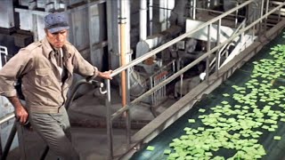 Soylent Green  Full Movie  Story Explain  Charlton Heston  Edward G RobinsonLeigh TaylorYoung