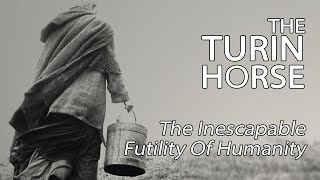 The Turin Horse  The Inescapable Futility Of Humanity