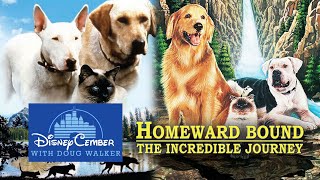Homeward Bound and The Incredible Journey  DisneyCember