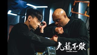 The Invincible Dragon 2019  Hong Kong Movie Review