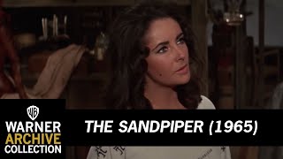 Clean Content and Without Guilt  The Sandpiper  Warner Archive