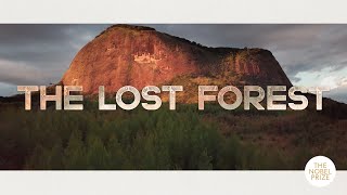 Excerpt The Lost Forest  Nobel Peace Prize Shorts