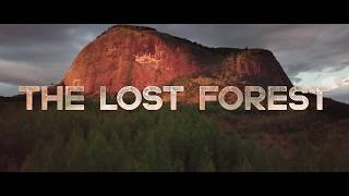 The Lost Forest  Mount Lico  15 sec trailer