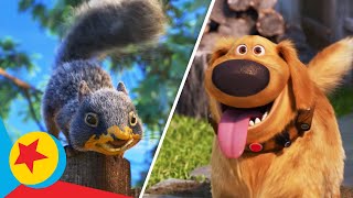 Squirrel  A Song By Dug  Dug Days  Pixar