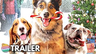 PUPS ALONE 2021 Trailer   Hilarious Dog Family Holiday Movie