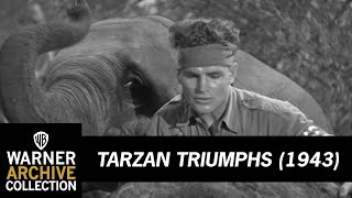 Cheeta and Elephant Kill Nazi  Tarzan Triumphs  Warner Archive