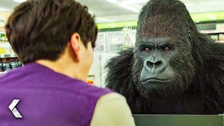 Gorilla in the Supermarket Scene  SECRET ZOO 2020