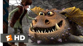 How to Train Your Dragon 2010  Training Tips Scene 410  Movieclips