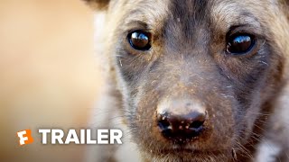 David Attenborough A Life on Our Planet Trailer 1 2020  Movieclips Indie