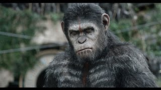 Dawn Of The Planet Of The Apes Starring Jason Clarke Movie Review