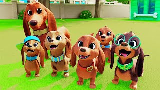 PRETZEL AND THE PUPPIES  Official Trailer 2022 Apple TV