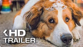 A DOGS JOURNEY All Clips  Trailers 2019