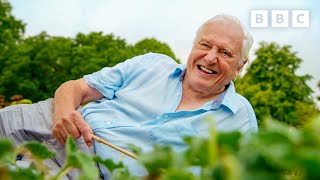 EXPLODING seed pods make Sir David Attenborough laugh  The Green Planet  BBC