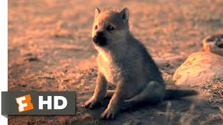 Alpha 2018  Wolf Puppies Scene 1010  Movieclips
