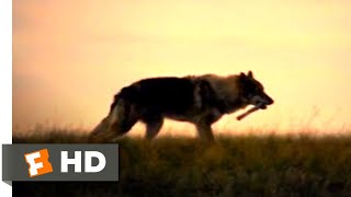 Alpha 2018  First Game of Fetch Scene 510  Movieclips